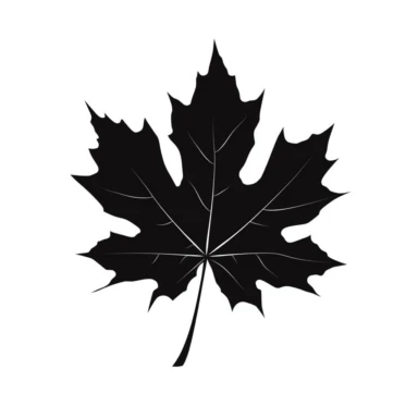 black silhouette of maple leaf, clipart, white background, logo style