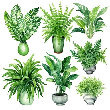 BOSTON FERN, DWARF DATE PALM, SPIDER PLANT, CHINESE EVERGREEN, DEVIL’S IVY, BROADLEAF LADY PALM, PEACE LILY, BARBERTON DAISY, watercolor, Object, vector collection, clipart, 8k, white background.