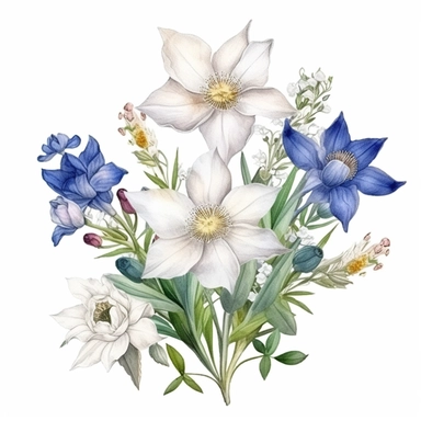 Edelweiss and Eustoma Ensemble Watercolor Art, Beautiful Realistic Clipart, Vibrant Colors, Creative Artistic, Emotional, Detailed, Isolated white background