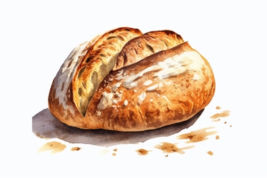 watercolor Sourdough bread clipart, hd, white background, spaced out