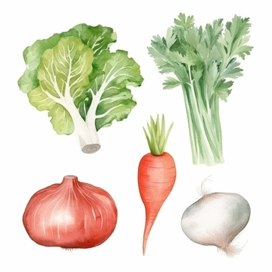 basic watercolor carrot, lettuce head, tomato, garlic and onion in minimal hand drawn style, Etsy, textured, clipart, white background