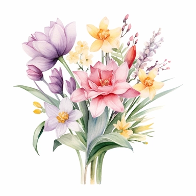 A charming clipart of a bouquet of fresh spring flowers on a white background, painted in delicate watercolors and pastel tones. The bouquet is filled with a variety of spring flowers such as tulips, daffodils, and cherry blossoms. Each flower is beautifully detailed, with soft color tones that blend harmoniously into the overall image. The pastel tones evoke a sense of freshness and rebirth associated with spring, making this image perfect for any design project that calls for a touch of nature