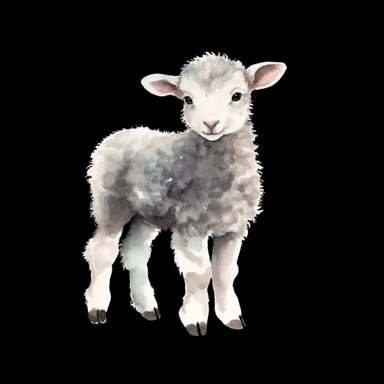 beautiful watercolor Clipart of a baby sheep full body isolated on a black background