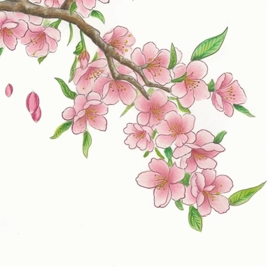 sakura drawing clipart art free, in the style of intricate, delicate flower and garden paintings, light magenta and emerald, miniature and small-scale paintings, precisionist art, whimsical watercolors, decorative relief, light pink and light brown