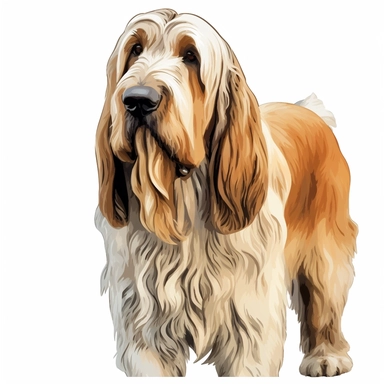 dog grand basset griffon vendeen clip art solid white background