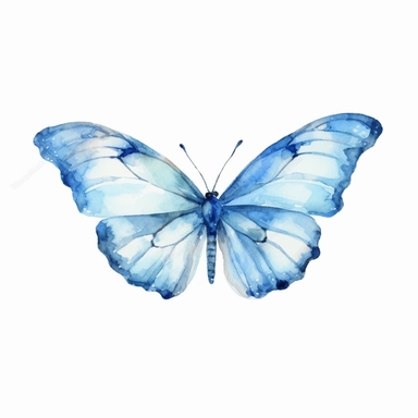 watercolor butterfly blue clip art, white background