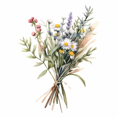 wild flowers with long stems tied together with string to make a bouquet, super-realistic, detailed, watercolor, light colors, clipart, minimalist