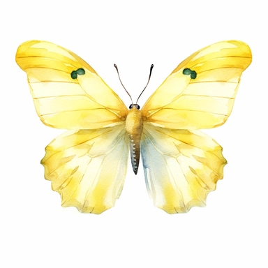 pale yellow watercolour butterfly clipart, vector image