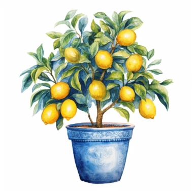 watercolor mediterranean pot with lemon tree clipart on white background