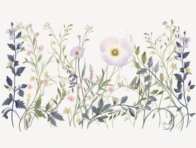 Clip art set.Twilight Garden: Moonflowers, Night-Blooming Jasmine, and Evening Stock. Soft, Gentle, color pallete. perfect for adding a whimsical and romantic touch to invitations, stationery, and more, vector, contour, white background, clipart set, spaced out