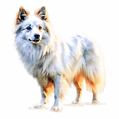 american eskimo dog watercolour painting realistic yet stylized, digitally enhanced, clipart, 32k uhd, detailed crosshatching white background