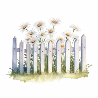 basic watercolor daisies white picket fence in minimal hand drawn style, Etsy, textured, clipart, white background