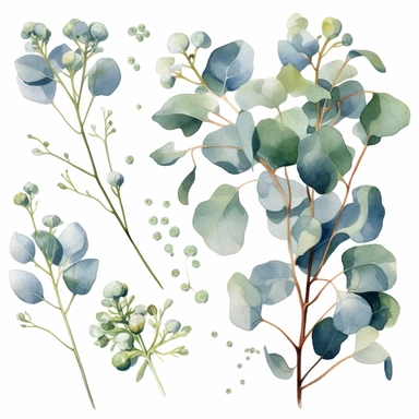 watercolor clipart, eucalyptus, greenery, sprigs, branches, extremely detailed