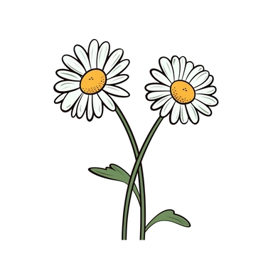 Clipart of cartoon two daisies in a minimalist style, on a white background,