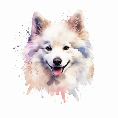 American Eskimo Dog dog, water color style, clipart, white background
