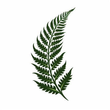 Fern leaf clipart, hd, s1000