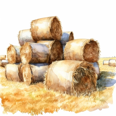 realistic watercolor drawing of a bales of hay spread out on a field, on a white background where the background will be removed to repurpose as a clipart.