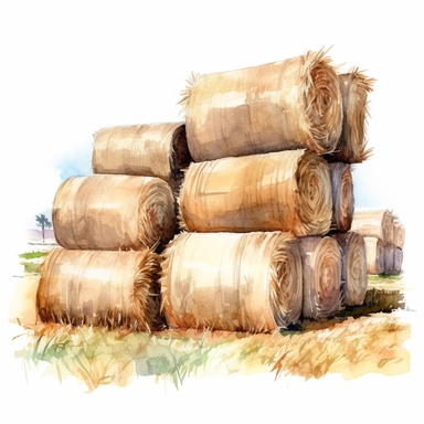 realistic watercolor drawing of a bales of hay spread out on a field, on a white background where the background will be removed to repurpose as a clipart.