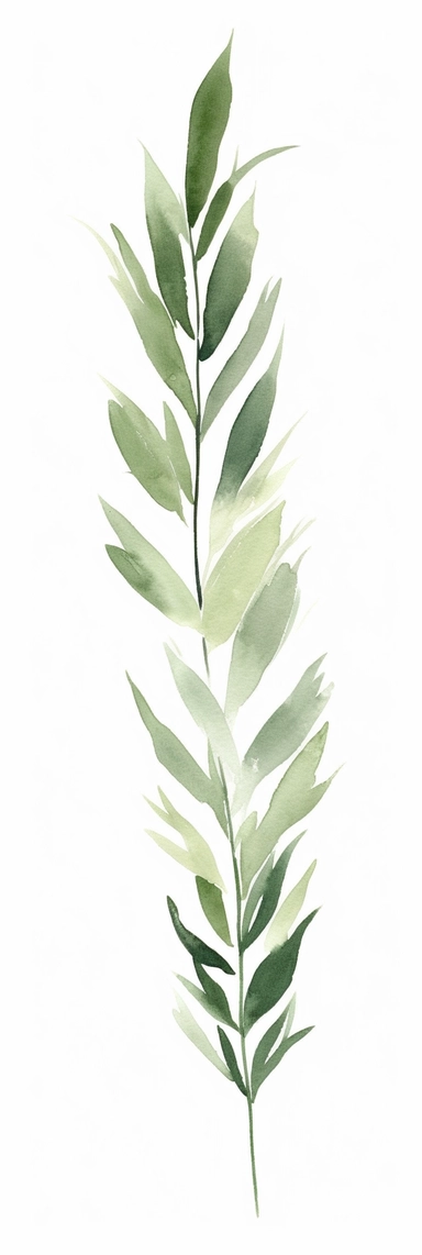 watercolor piece of anemone leaf spruce green clipart drawing for, in the style of ogham scripts, blink-and-you-miss-it detail, minimalist detail, made of vines, sōsaku hanga, bentwood, naturalistic depictions
