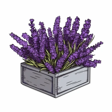 square box open with many lavender flowers in it, vector clipart style, solid white background