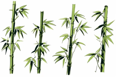 ink drawing six bamboo clipart, ink style, ink drawing, free-hand light flat color strokes under ink lines, vector style, sparse use of color, elegant forms, prominent ink strokes, flat style, prominent line style, white background, spaced out, do not intersect images, spacing between elements, single thickness lines, no shadows, few details, only lines, only black lines, no volume, hand drawn ink drawing, elegant shapes