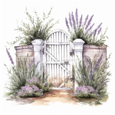 hand drawn opened white country garden gate with rosemary beside it, inside is an herb garden with lavender up front, glamorous, very detailed and realistic , watercolor, white background with margins, clipart style