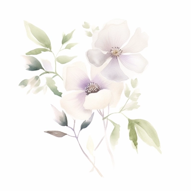 Watercolour sketch, floral, simple, clipart, white background, pale delicate tones, naturecore, bloomcore