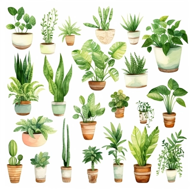 Watercolor House Plants Clipart. Indoor Plants Elements. Monstera, Cactus Illustration. Boho Home Decor Clipart. Home green garden. Plants in pots