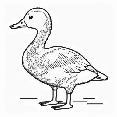 Simple outline of a Gander, kids cartoon, minimalist, black on white, lineart, 2d flat file, silhouette, clipart, uninterrupted outline as in an svg, perfect outline corners, make it an outline svg and fill color white, exact outline, the line should not be thickened, the line should not be thicker or thinner, the outline of the line should be thin, maximum 1 millimetre.