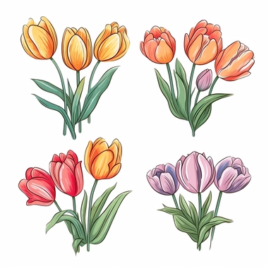 hand-drawn tulip bouquet illustrations, vibrant floral clipart on a white background, tulip-inspired color palette