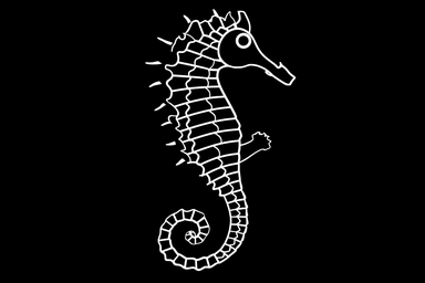 , clipart line diagram of a seahorse, drawn by a child, very simple, white lines on black background, lines only, no shading
