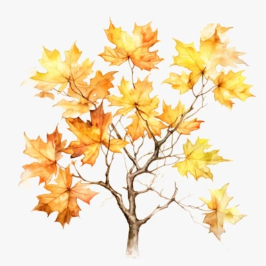 Branch of tree of light maple ,watercolour clipart