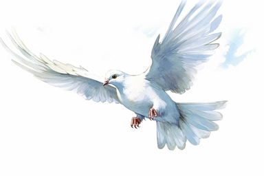 Clip art of flying dove, white, White margins around the image, drawn by Helen Beatrix Potter, easy to crop image, white background