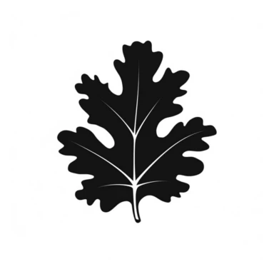 black silhouette of an oak leaf, clipart, white background, logo style