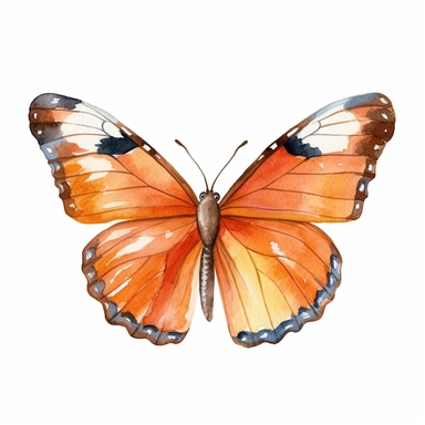 orange butterly clipart, watercolor style, white isolated background, 4k, hdr