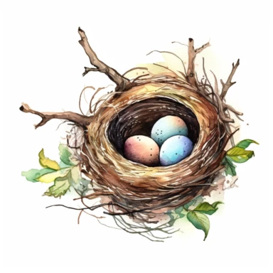realistic Watercolor Bird Nest with bird egg Clipart, be creative and detailed, white background