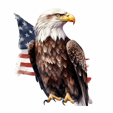 full body eagle with american flag Clipart,on white background with margins