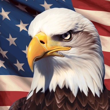 bald eagle in front of the american flag, clip art
