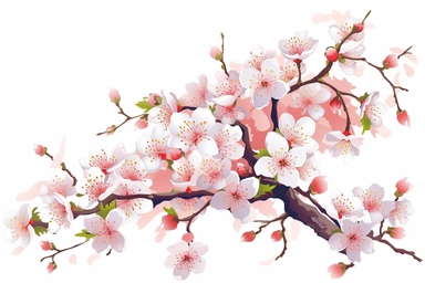 Clean, floral design in a white background, clip art, Cherry Blossom, vector art