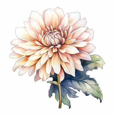 Watercolor snow white dahlia clipart on a white background in the style of feminine sticker art, Tanya Shatseva, storybook illustration, pure and pristine shades, Georgia O'Keeffe, flower and nature motifs, colored line art, colored outlines, cottagecore design, watercolor on white background, ombre, warm tones, colored line art, colored outlines, iridescent ombre, gradient shading, winter snow tone, vibrant digital art oil paint photorealism, an illustration of a colored flower, meticulous sket
