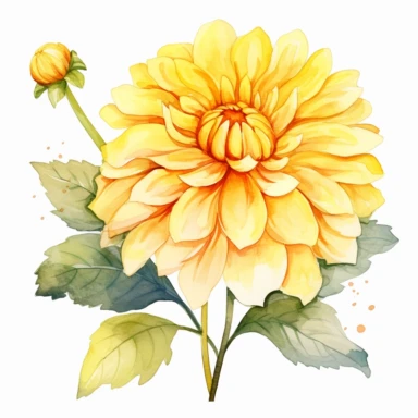 Watercolor lemon yellow dahlia clipart on a white background in the style of feminine sticker art, Tanya Shatseva, storybook illustration, sunny hues, Georgia O'Keeffe, flower and nature motifs, colored line art, colored outlines, cottagecore design, watercolor on white background, ombre, warm tones, colored line art, colored outlines, iridescent ombre, gradient shading, summer sunshine tone, vibrant digital art oil paint photorealism, an illustration of a colored flower, meticulous sketches, Ma