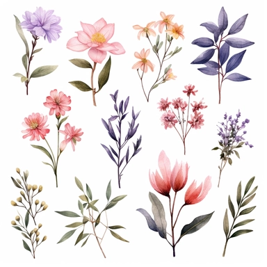 beautiful floral watercolor clipart set with flowers, leaves, and branches, clipart, isolated on white background, bojo, vintage, lithograph, 32k uhd, texture