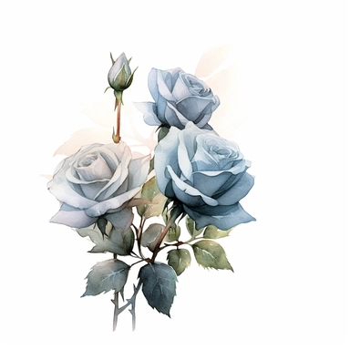 Watercolor dusty blue four roses clipart, four roses bouquet, muted color faded, white background