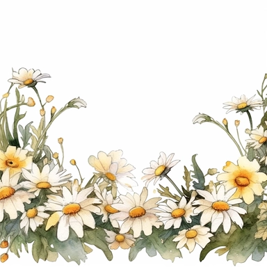 chamomile, page border style, clipart, watercolor, vintage--q2