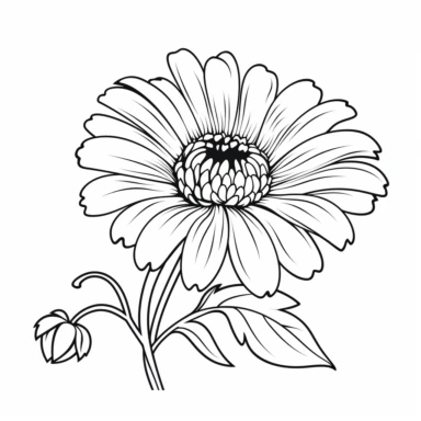 Diffident angle of flower clip art, clean black line art, no gray color