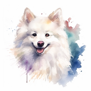 American Eskimo Dog dog, water color style, clipart, white background