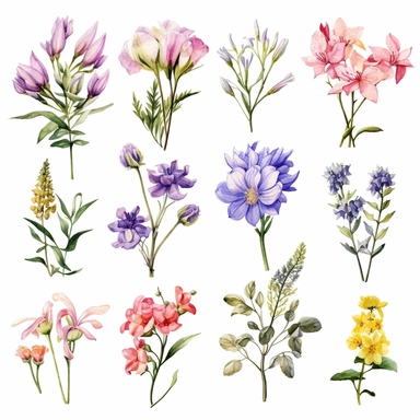 clipart set of single spring flowers and plants, matching bouquets, watercolor style, detailed, elegant, sophisticated, seperated on white background