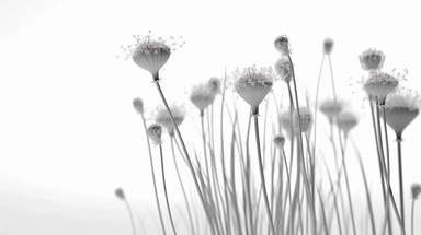 a bunch of small beautiful flowers in line drawing clipart with white background imag, cinematic lighting, photorealistic, elegant, photoshoot, 8K, Unreal Engine, global illumination