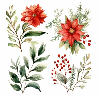 delicate floral watercolor christmas holiday greenery floral branches clipart on white background. hand painted intricate. red and green festive colors.