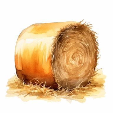 hay bale, watercolor clipart